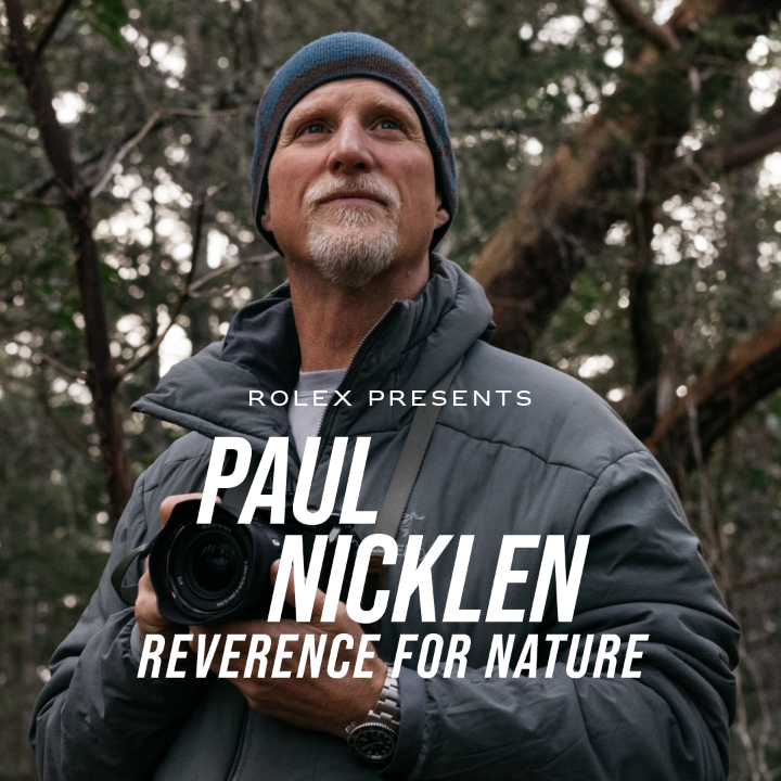 Out now. Paul Nicklen is known for his dramatic conservation photography. In ‘Reverence for Nature’, part of an exclusive documentary series about the #RolexFamily, he celebrates the launch of his new book. More on #PerpetualPlanet #Reachforthecrown