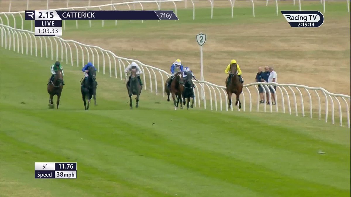 ✅ £175,000 buy Waakabb (New Bay) opens his account at the second time of asking Catterick Racecourse