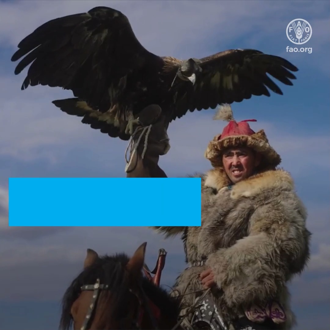 Pastoralists are present in more than 75% of countries & manage at least 25% of the world’s land. They care for the world's land & ecosystems, produce food & safeguard biodiversity with their Indigenous & traditional knowledge. 🔗 #IYRP2026