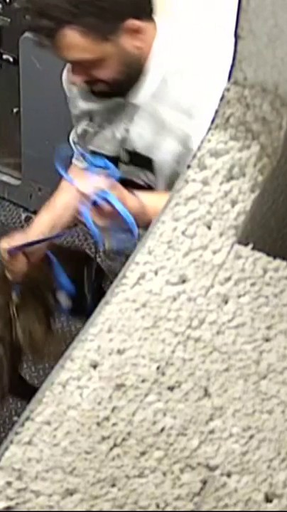 Police: Videos show animal cruelty in Miami