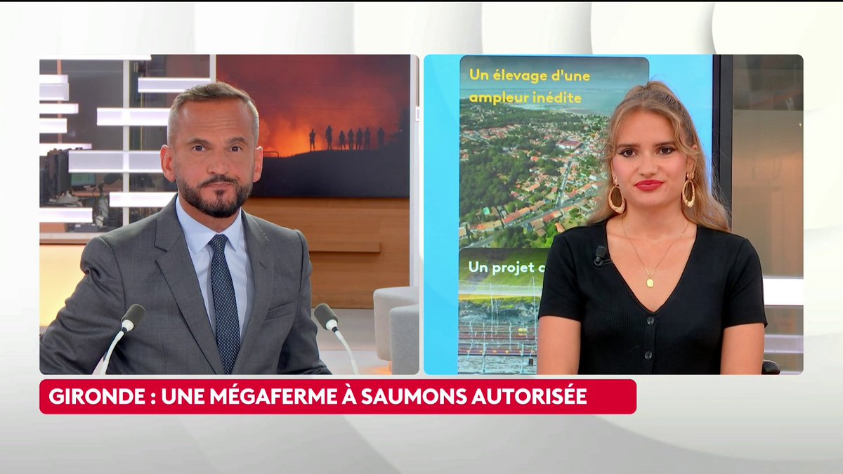 🐟 L’État a autorisé, mardi 4 août, l’implantation d'une mégaferme à saumons en Gironde qui prévoit de produire sur terre jusqu’à 10 000 tonnes de poisson par an. Plusieurs ONG, dont Seastemik, annoncent préparer un recours contentieux contre cette implantation. #canal16