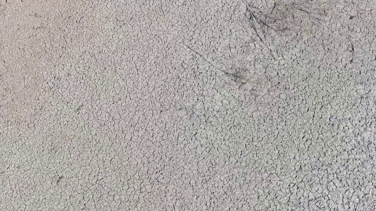 Cracks cover the bottom of the Baeken reservoir in South Korea's South Gyeongsang Province, after the country recorded its hottest-ever temperatures over the weekend. The summer heat has killed 19 people in South Korea so far this year, a government health agency said Tuesday.