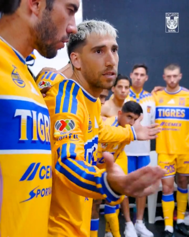 Con respeto, compromiso, y 𝒑𝒐𝒓 𝒆𝒔𝒕𝒂 𝒄𝒂𝒎𝒊𝒔𝒆𝒕𝒂... ¡Dale Tigres, carajo! 👊🏼🐯