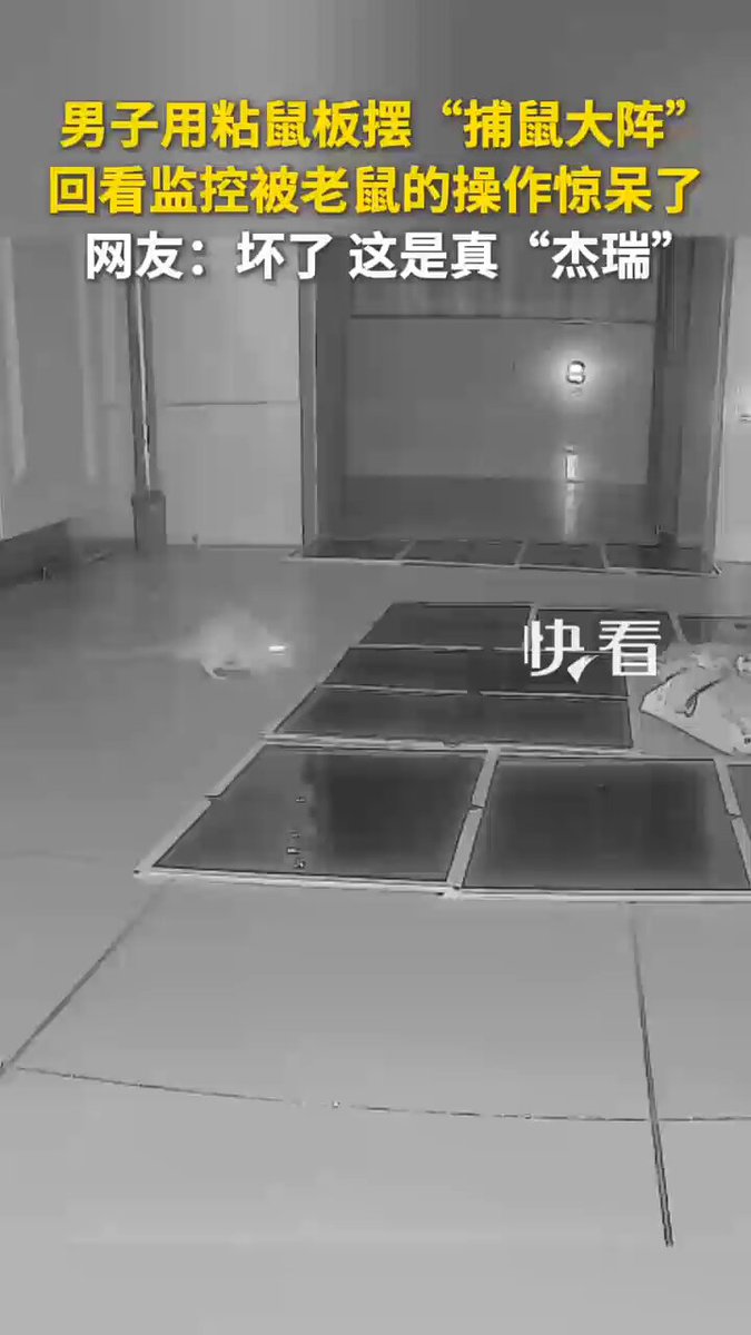 【Video】Mouse vs. trap, and the mouse won? In South #China's Guangdong Province, a man set up glue traps to catch rats, but the camera footage captured a mouse pulling off an astonishing getaway. #animal
