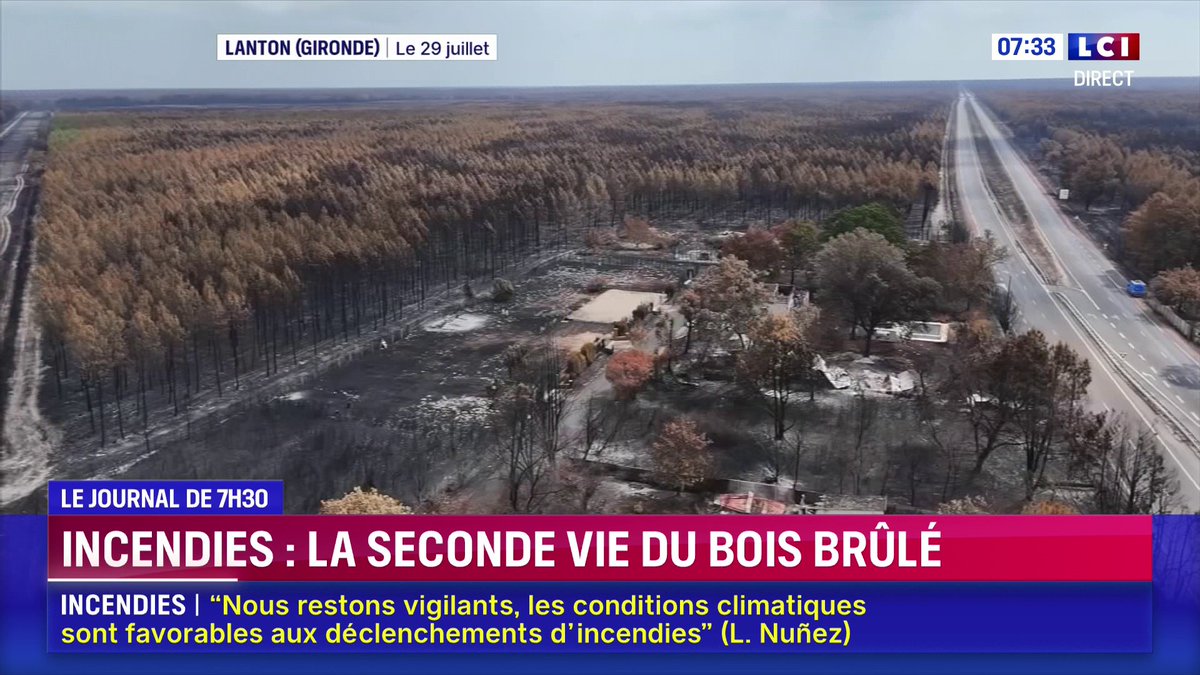 🔴 Incendies : la seconde vie du bois brûlé 📺 Le journal de 7H30 avec Pierre Barbin sur LCI