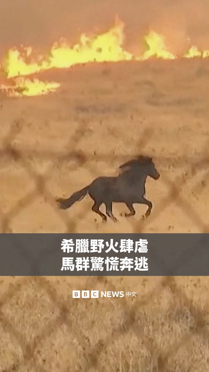 希腊多地近期遭受野火侵袭。画面显示，雅典西北部坎迪利附近一群马匹，因身后的原野陷入火海，惊慌失措地拔腿狂奔。当地媒体报道称，这群马匹并未受伤。