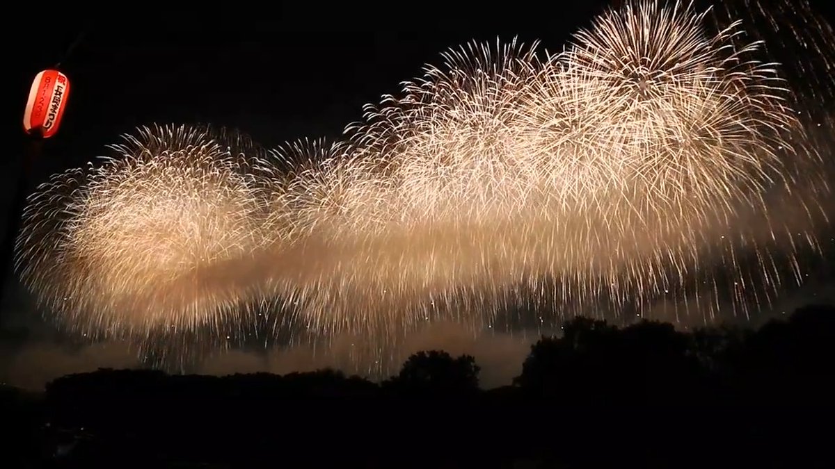 今年も長岡花火は圧巻でした✨ 2026フェニックス