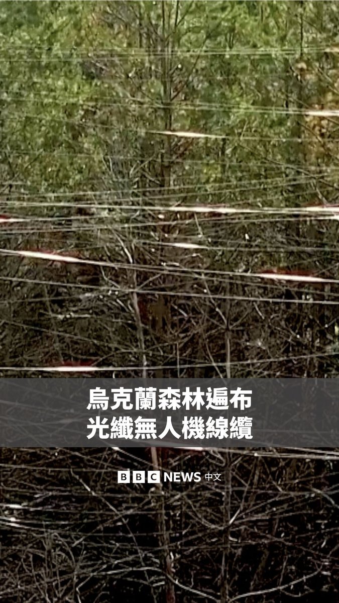 乌克兰第57摩托化旅近日发布影片,画面可见哈尔科夫州一座森林布满俄军光纤无人机留下的缆线,宛如蜘蛛网。军方表示,拍摄地点位于沃夫昌斯克附近,目前大部分地区仍由俄军控制。 光纤无人机因不易被侦测、也较难受到电子干扰,近来在战场上愈来愈常见,飞行时还会拖曳数公里长的光纤缆线。