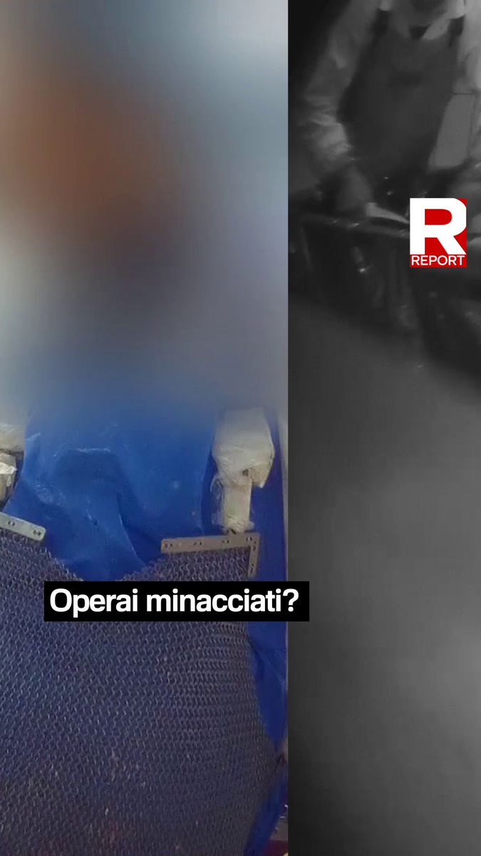 Giulia Innocenzi è andata a Mantova per intervistare gli operai del macello Bervini, ma non trova nessuno. "Gli operai non ci sono perché hanno avuto letteralmente paura di essere intervistati quest’oggi" ci ha spiegato Avella, segretario Silced di Mantova