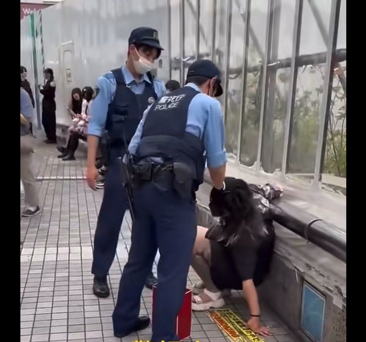 警察さん 暴れる女を投げ飛ばし髪を掴む。 これくらいやっていいと思う…