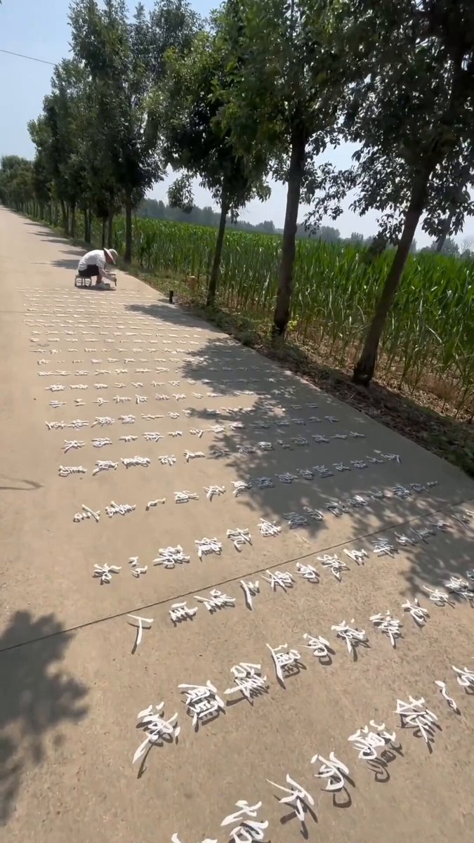 Chinese characters floating above the ground? With nothing but ink and a brush, a Chinese creator makes a striking optical illusion — bringing calligraphy to life beneath his feet. 🖌️