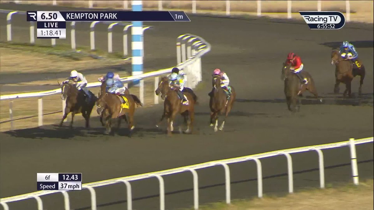 👀 The beautifully-bred Najidi Storm (Frankel x Scuffle) is a brother to Logician and related to plenty more high-class types and makes a winning start for Harry Charlton, Colin Keane and Juddmonte Kempton Park Racecourse