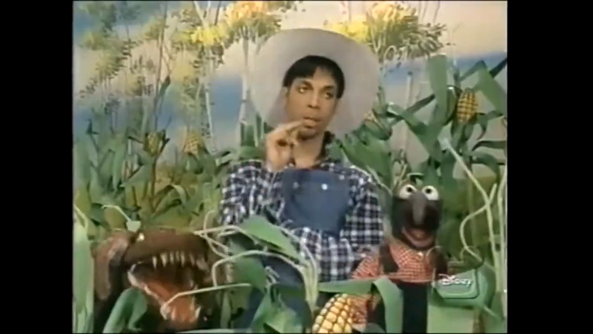 In 1997, during one of his most private and protective periods, Prince specifically asked to appear on Muppets Tonight. The Muppets cut straight through the mystique and gave us a rare glimpse of a playful Prince. (Or The Artist Formerly Known as Prince. Or Symbol. Whatever.)