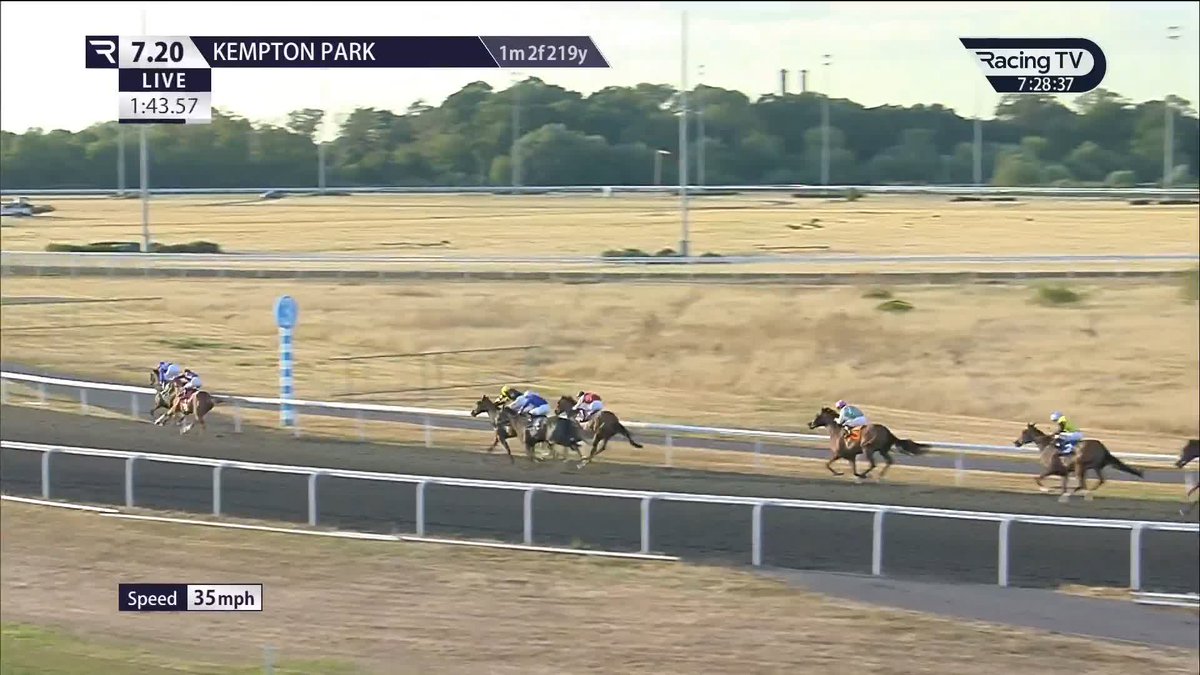 Wow 😮 Fortitudine (Dubawi) is a brother to Rebel's Romance and wins by half the track on debut for James Doyle, Charlie Appleby and Godolphin! Kempton Park Racecourse