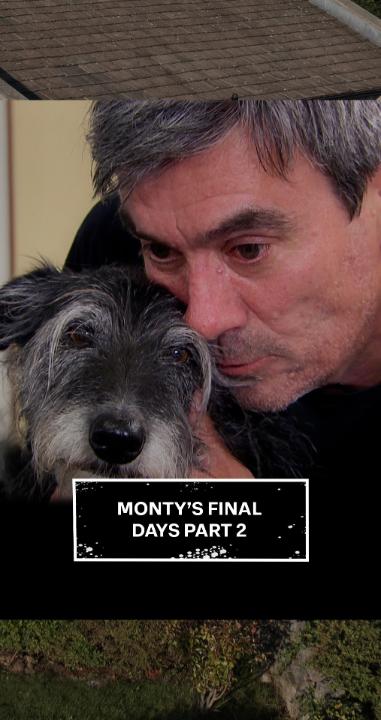 Goodbye Monty, you were a very good boy ❤️🕊️ #Emmerdale