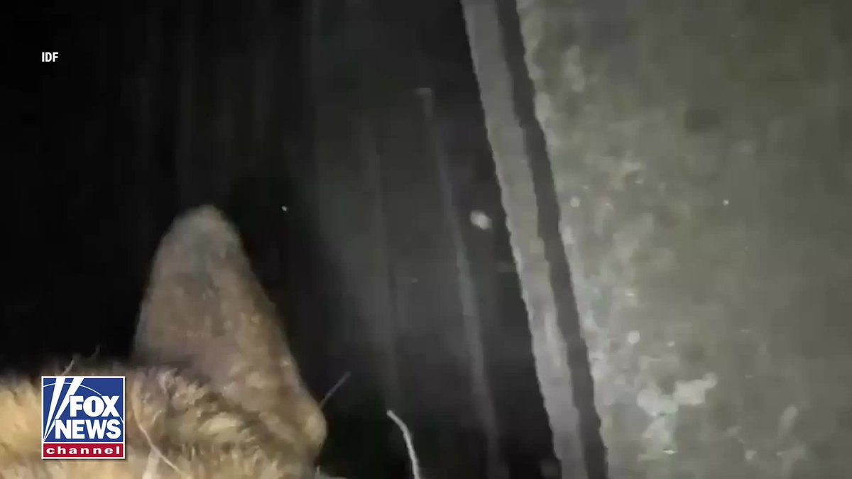 WATCH: An IDF K-9 races through dark underground terror tunnels in Gaza with a body camera strapped to its back, giving a rare look inside the maze hidden beneath the surface. The dog moves room to room before leading Israeli forces to a stash of rockets concealed inside the tunnel network.