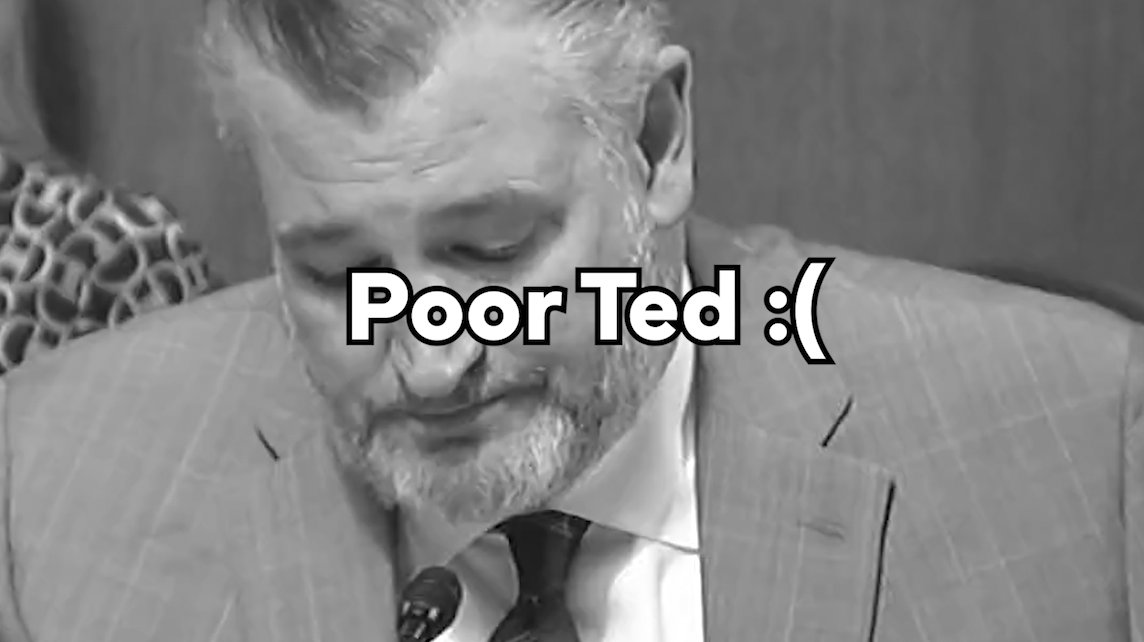 Democrats ignored the hearing. Republicans ignored… Ted?