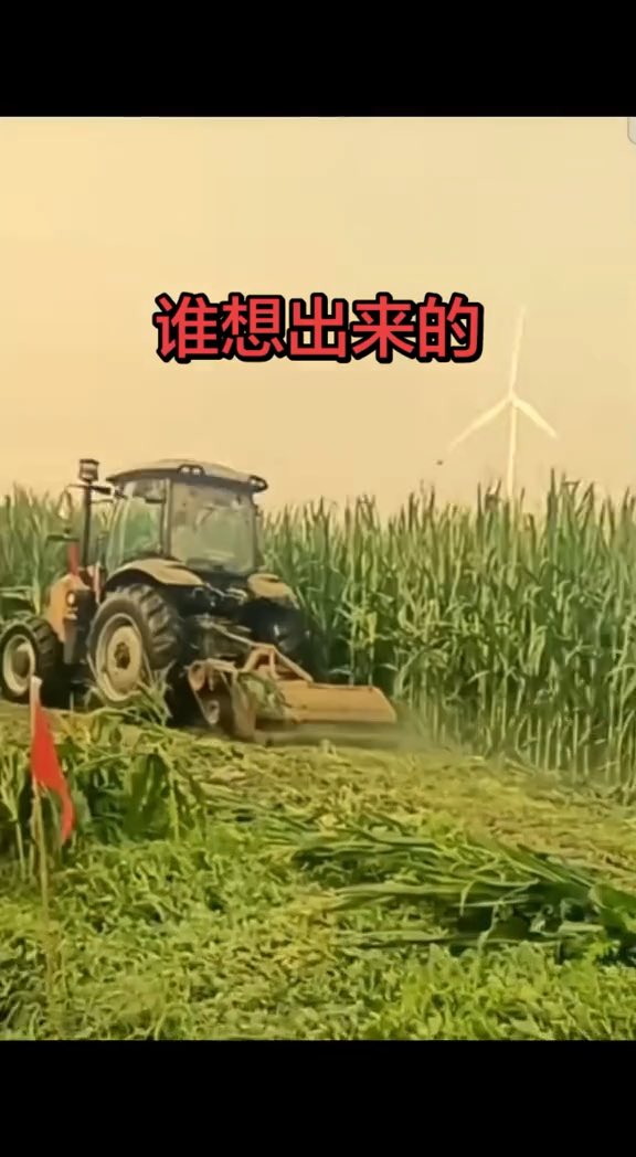 河南西平县重大刑事案件搜捕仍在持续 当地官方进一步加大搜索力度,只为排查每一处可能藏身的位置。 1、道路每隔两米就站着一名搜寻人员, 2、无人机对大片区域进行地毯式搜索, 3、甚至动用收割机铲除玉米地, 如此规模的人力、物力投入,足以看出这场搜捕的力度和决心。