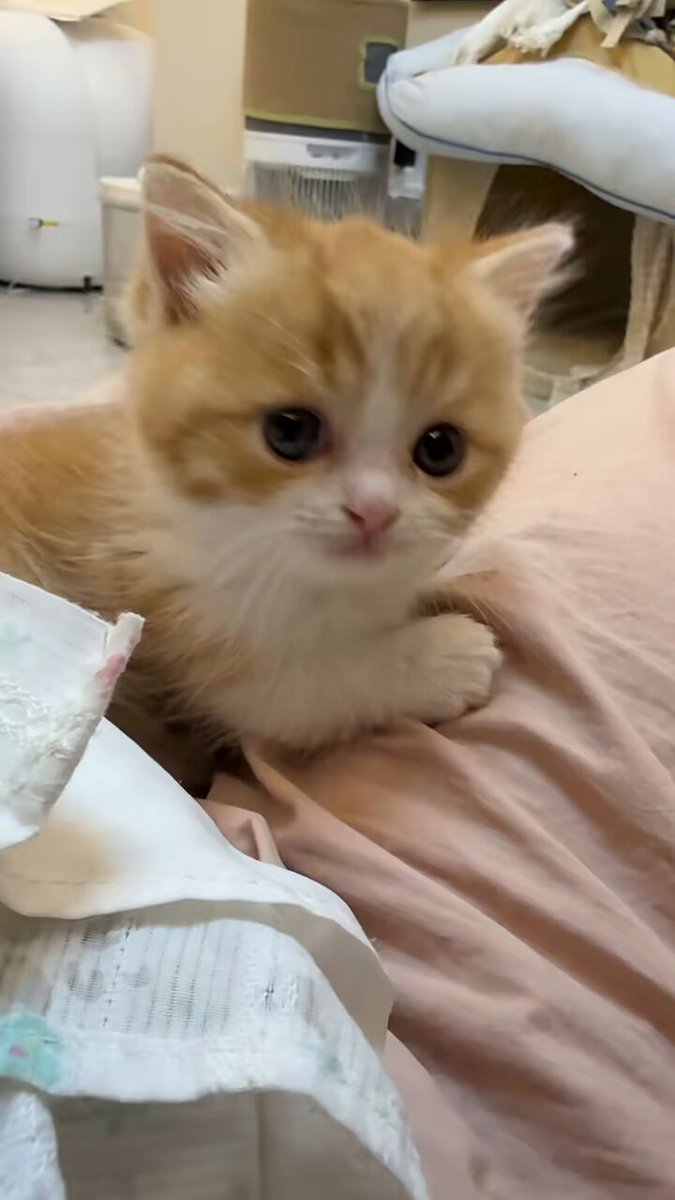 Too precious looking up 🥹
