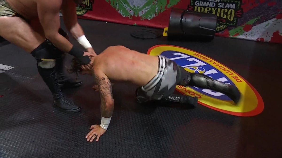 DAVIS JUST POWERBOMBED @WILLOSPREAY INTO A FAN AT RINGSIDE! Watch #GrandSlamMexico LIVE on TBS &amp; HBO Max
