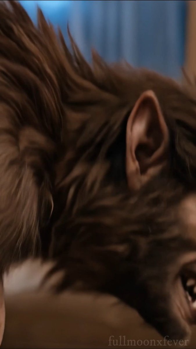 A fully formed lycan recognizes allegiance only to its own primal nature. When confronted with a vaguely familiar human, it faces only one decision: whether they are merely a necessary meal... or worthy of becoming a new member of its pack. #WerewolfWednesday