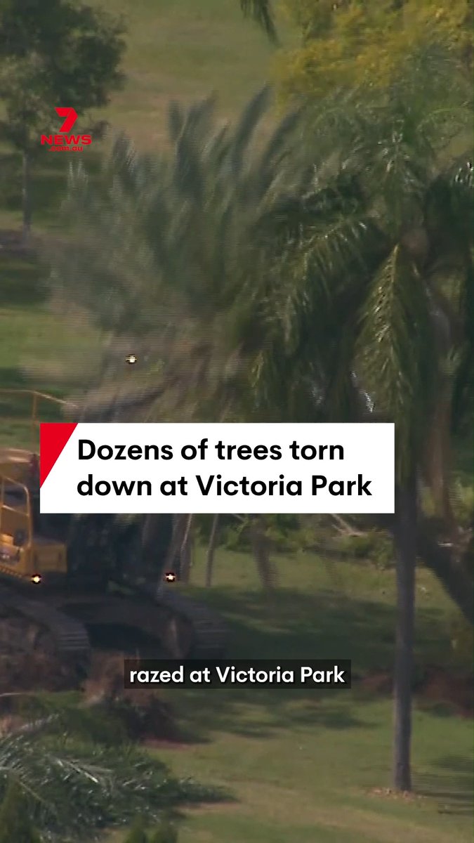 Dozens of trees were torn down at Victoria Park as work on an Olympic stadium got underway. Save Victoria Park claimed to have witnessed distressing scenes of possums and birds scattering from the trees as they came down, they also suggested no wildlife spotters were there during this process. #VictoriaPark #OlympicStadium #Trees #Wildlife