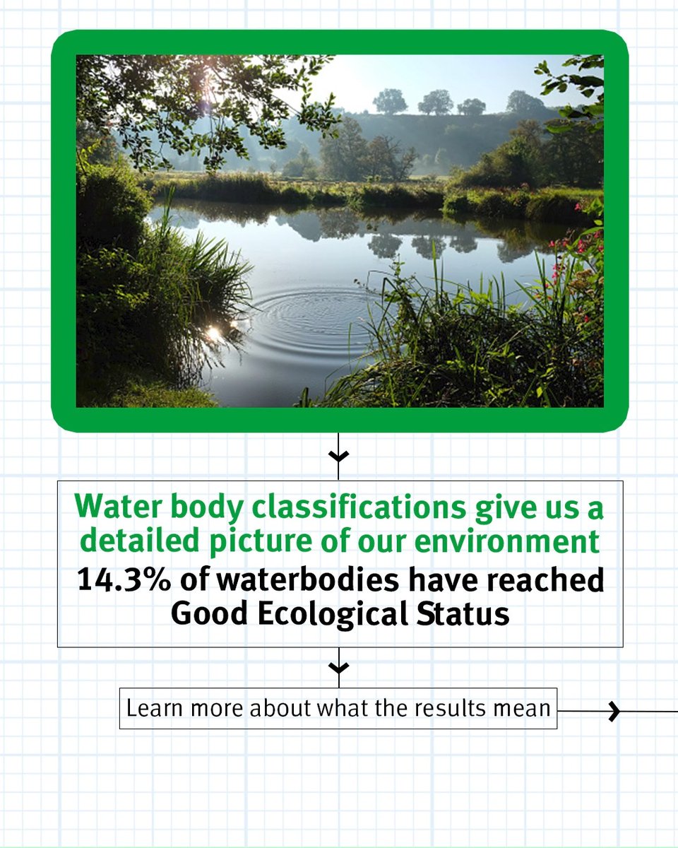 The latest Water Environment (WFD) Classification results show us where water bodies are improving and where further action is needed. This data will help us direct investment and enforcement where it’s needed most to improve our waterways. More: