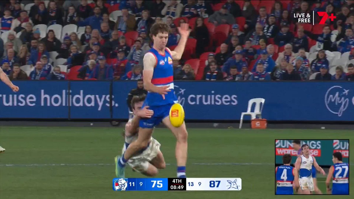 CHAOS at Marvel Stadium. #AFLDogsNorth