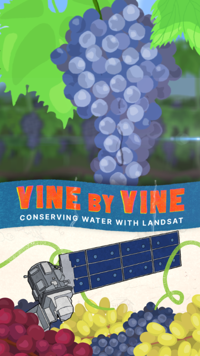 Thirsty grapes? 🍇 The NASA/USGS Landsat can spot them from space! Through the research project, GRAPEX, scientists used Landsat data to estimate crop water use. This led to a free tool called OpenET, which helps farmers across the U.S. use water more efficiently.