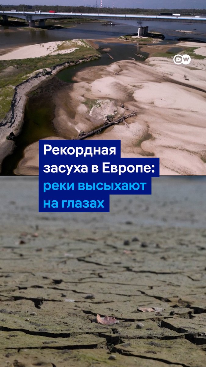 Европейские реки высыхают на глазах. Рейн и Дунай обмелели настолько, что на поверхности оказались затонувшие корабли, неразорвавшиеся боеприпасы и даже останки мамонта. В Швейцарии высохло озеро, куда обычно приезжают тысячи туристов. Вот как выглядят водоемы в разных странах