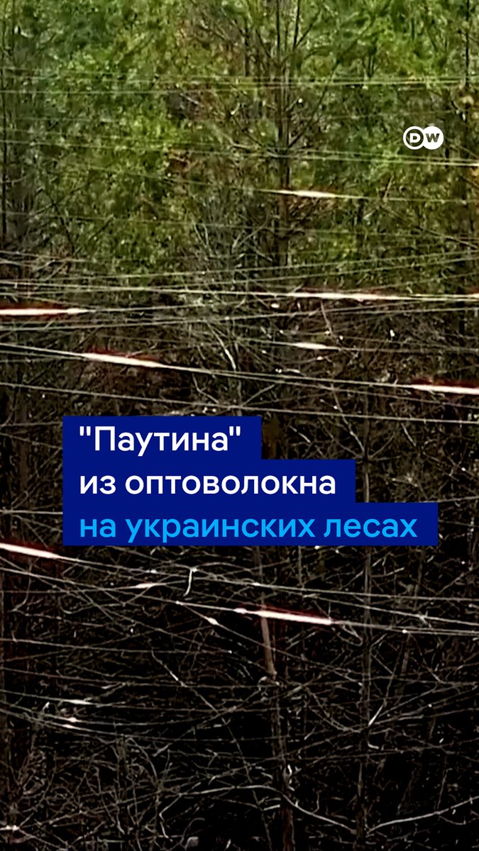 Словно гигантская паутина накрыла леса под Харьковом. Деревья опутаны оптоволокном от дронов, которые применяются на фронте. Вот как это выглядит
