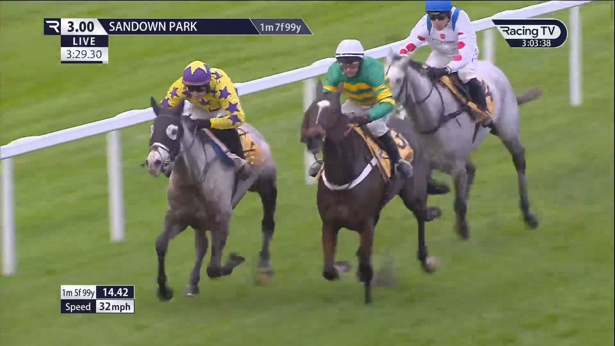 👑 IL ETAIT TEMPS wears the crown in the 2m division - and I'd be shocked if a Tingle Creek repeat wasn't on the cards in the first half of the year. 👍 Now an eight-time Grade 1 winner, connections will hope for more top level glory in the coming months.