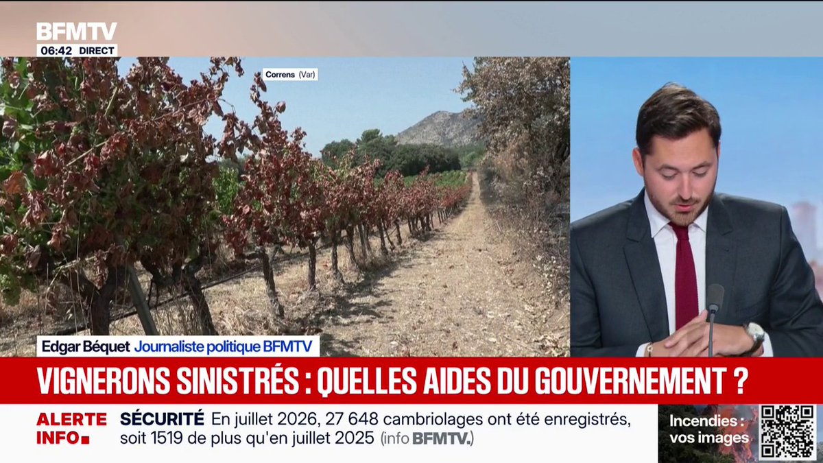 Quelles sont les aides mises en place par le gouvernement pour aider les vignerons impactés par les feux?