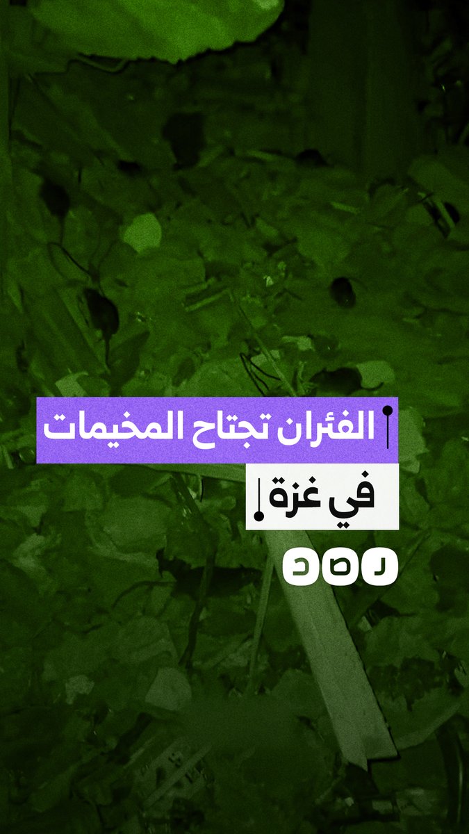 كابوس الفئران يحاصر النازحين في غزة ويهدد حياة الأطفال