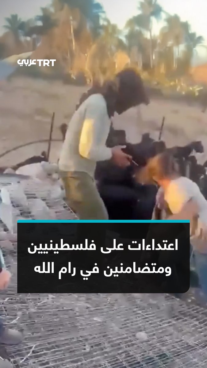 مستوطنون إسرائيليون يعتدون بالضرب على فلسطينيين ومتضامنين في قرية الطيبة شرقي رام الله بالضفة الغربية المحتلة. #تفاعل ليصل إليك كل جديد