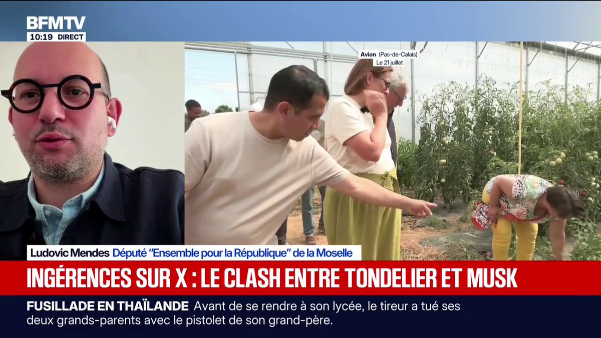 Clash entre Marine Tondelier et Elon Musk sur X: Ludovic Mendes, député Ensemble, appelle à "une meilleure modération et régulation" des réseaux sociaux
