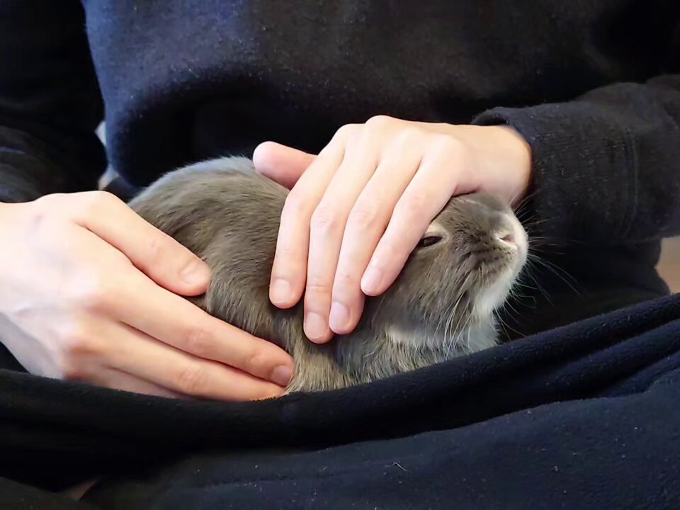 うっとりしてくれてる🥰