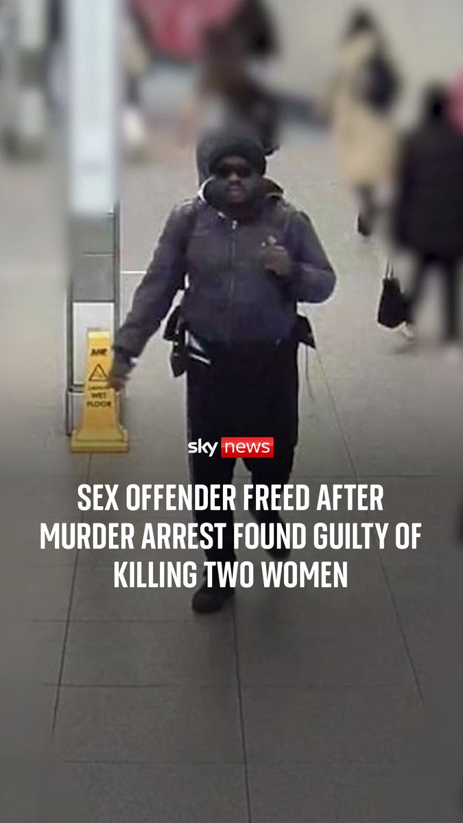 Simon Levy was freed after his arrest in April 2025 in connection with the suspected murder of Carmenza Valencia-Trujillo - but went on to kill Sheryl Wilkins just four months later. The convicted sex offender has now been found guilty of both murders