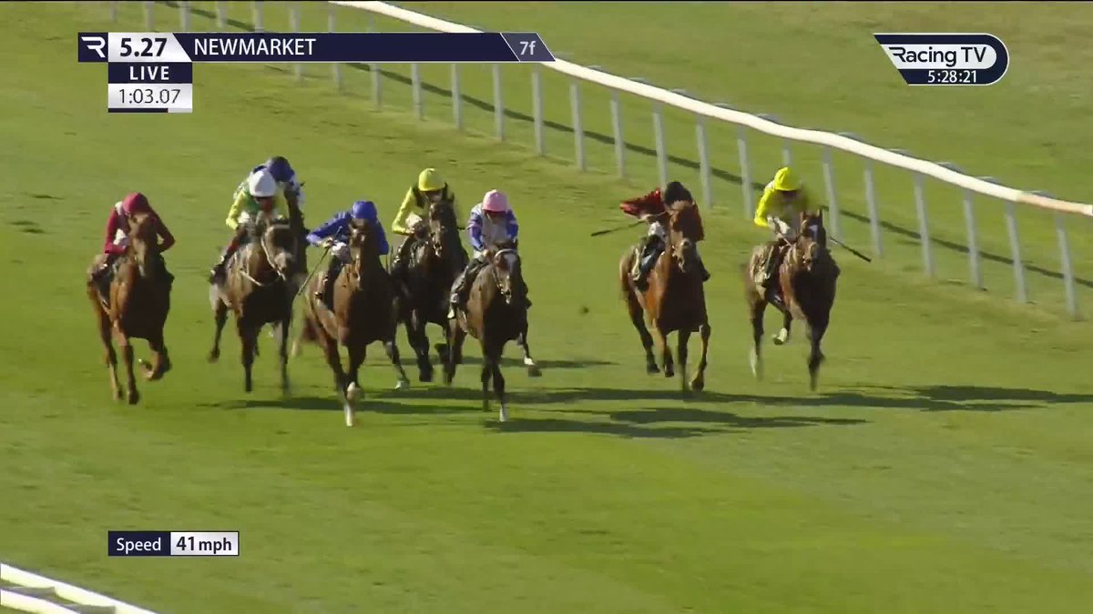 Impressive ๐ Desert Castle (Frankel) makes a winning start for Charlie Appleby, Billy Loughnane and Godolphin in the Newmarket Racecourses opener ๐ต