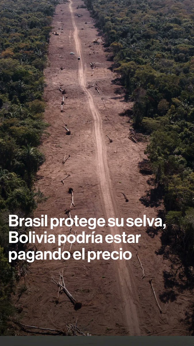 Brasil redujo drásticamente la deforestación gracias a una aplicación más estricta de la ley. Pero la destrucción no se detuvo: cruzó la frontera. ¿Cómo se convirtió Bolivia en la nueva crisis de la Amazonía? Fabiano Maisonnave explica.