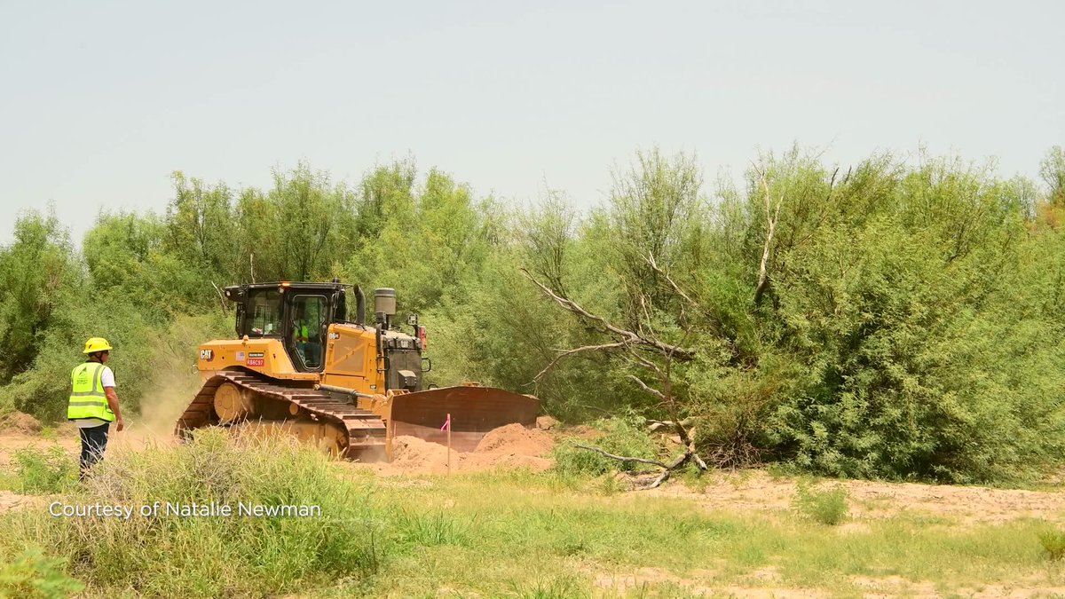 Crews have begun clearing land in Big Bend National Park as the Trump administration moves forward with a plan to build roads and steel barriers along the Southern border.