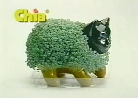 Chia Pet commercial (2003)