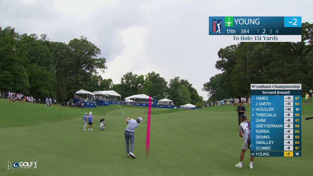 CAM YOUNG OFF THE FLAGSTICK. ROBBED.