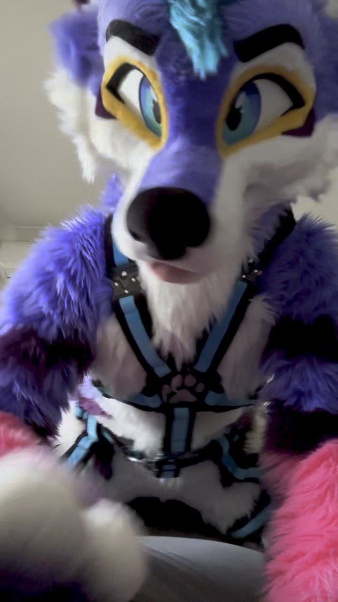 *paws at you* rub my belly! *paws at you* rub my belly!