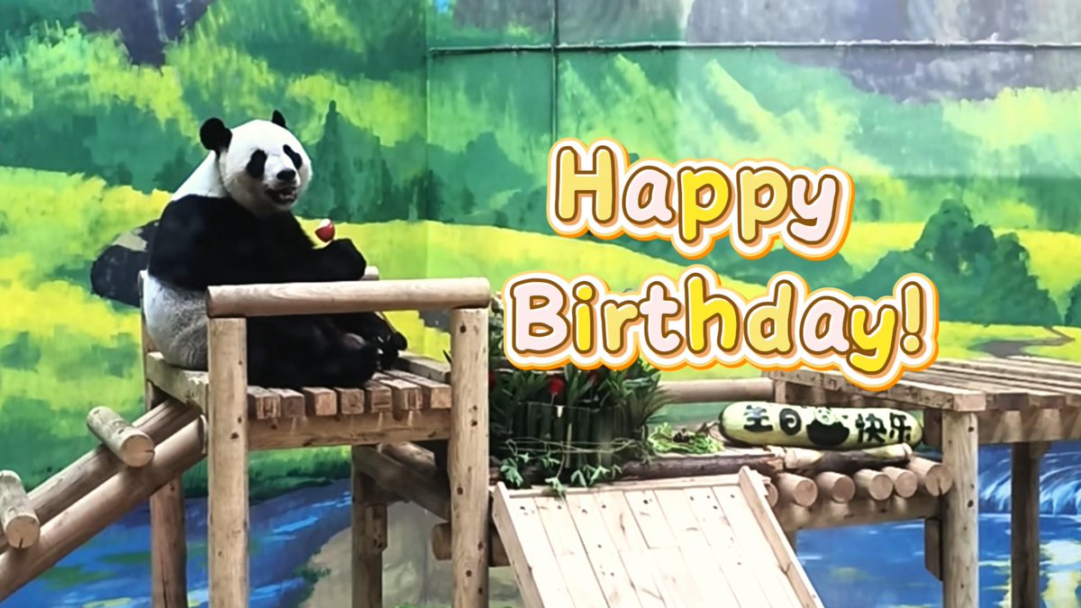 Watch: Tianjin's giant pandas turned 15 and the city showed up to celebrate 🐼🎂