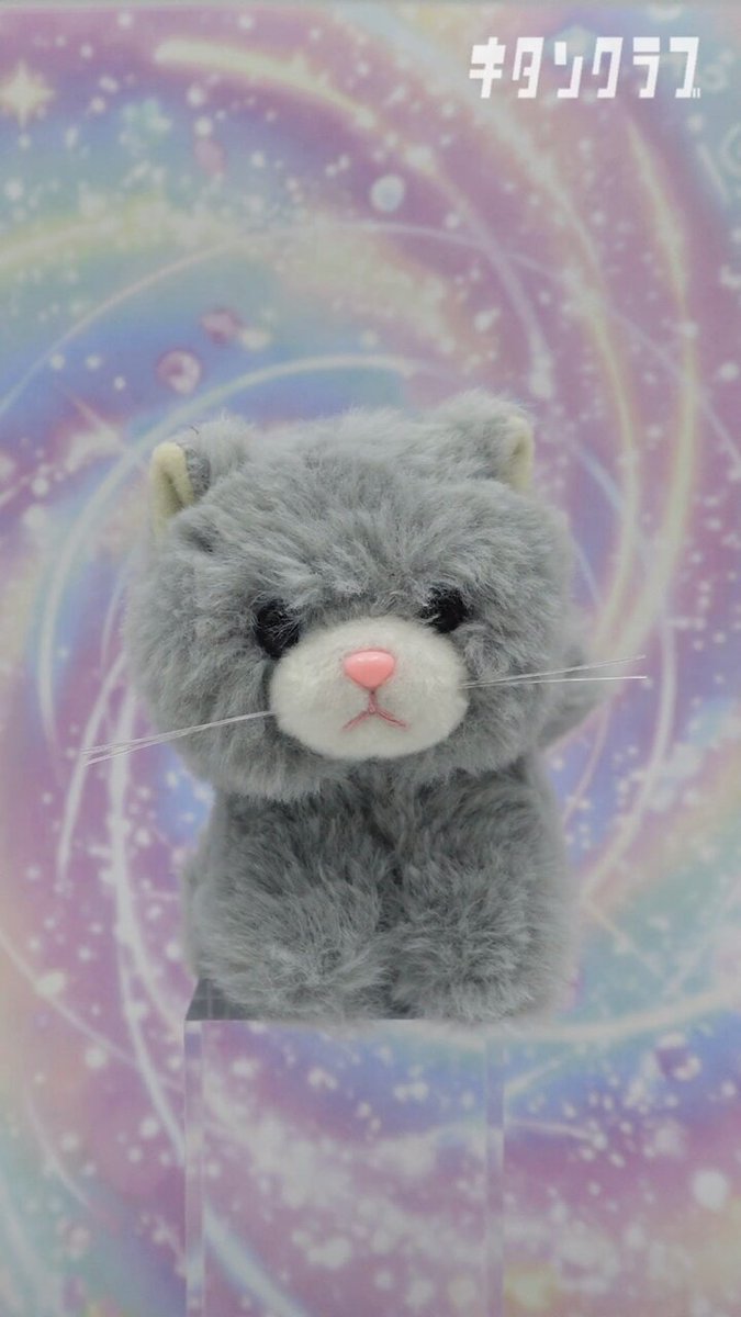 今日は #世界猫の日 🐈 9月発売予定の✨#マジカルステッキねこじゃらし ４💛で #おめかしねこちゃんぬいぐるみ に魔法をかけてみました🪄 カラフルなステッキで気分はまるで魔法使い🎀 発売をお楽しみに🎶