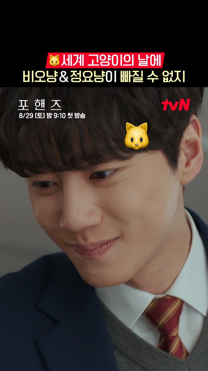 8월 8일 ‘세계 고양이의 날’ 기념 <포핸즈>의 앙칼진 비오냥 &amp; 냥아치(?) 정요 풉니다🐱 ㄴ 상큼한 재인냥😽도 있지요💗 화음처럼 얽힌 청춘들의 우정과 성장 <포핸즈> 8/29 [토] 밤 9:10 첫 방송 | tvN #tvN #포핸즈 #FourHandsTwoSonatas #송강 #이준영 #장규리 #즐거움엔20tvN #스트리밍은TVING