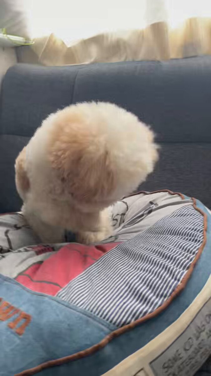 激しく掘ってたのに突然我にかえる👅
