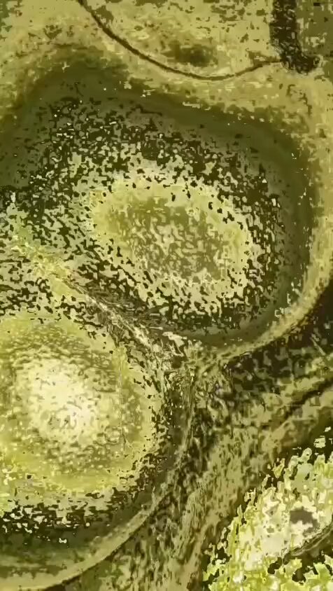 Matcha trend 💦
