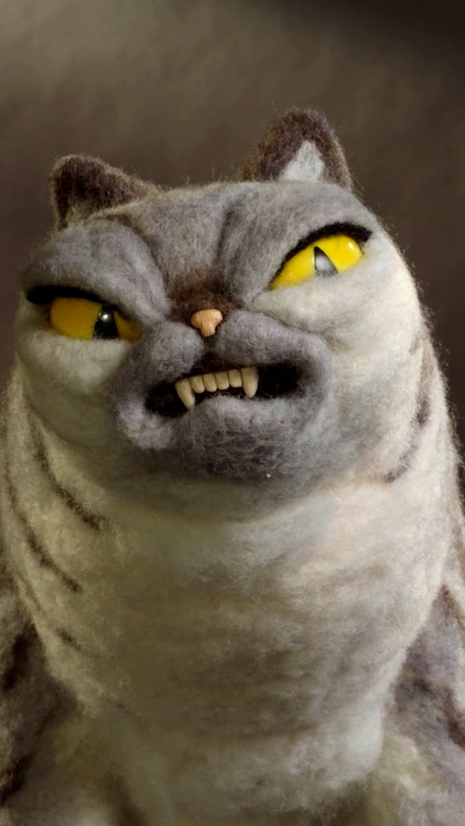 Celebrating #InternationalCatDay with this Cat animation test from Robin Robin and a very sassy voice performance from @gilliana 😻 #Aardman #Animation